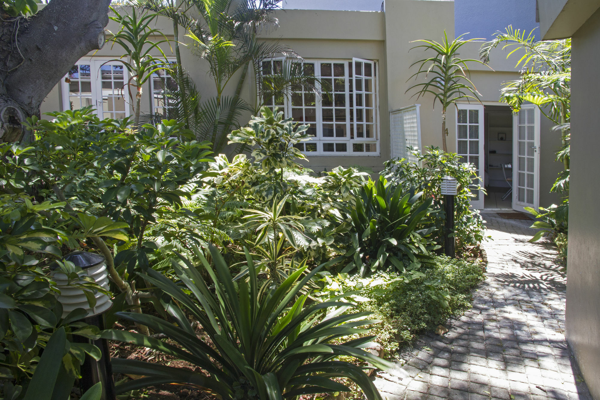 Conifer Beach House Πορτ Ελίζαμπεθ Εξωτερικό φωτογραφία