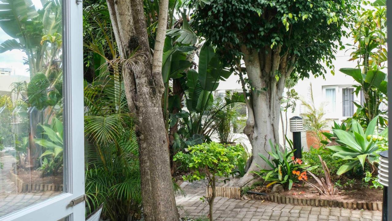 Conifer Beach House Πορτ Ελίζαμπεθ Εξωτερικό φωτογραφία
