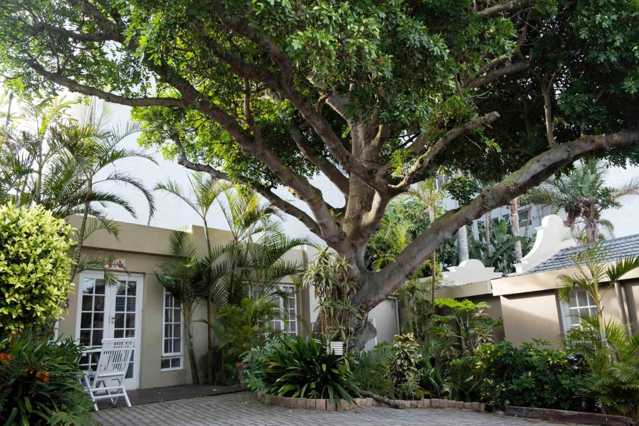 Conifer Beach House Πορτ Ελίζαμπεθ Εξωτερικό φωτογραφία